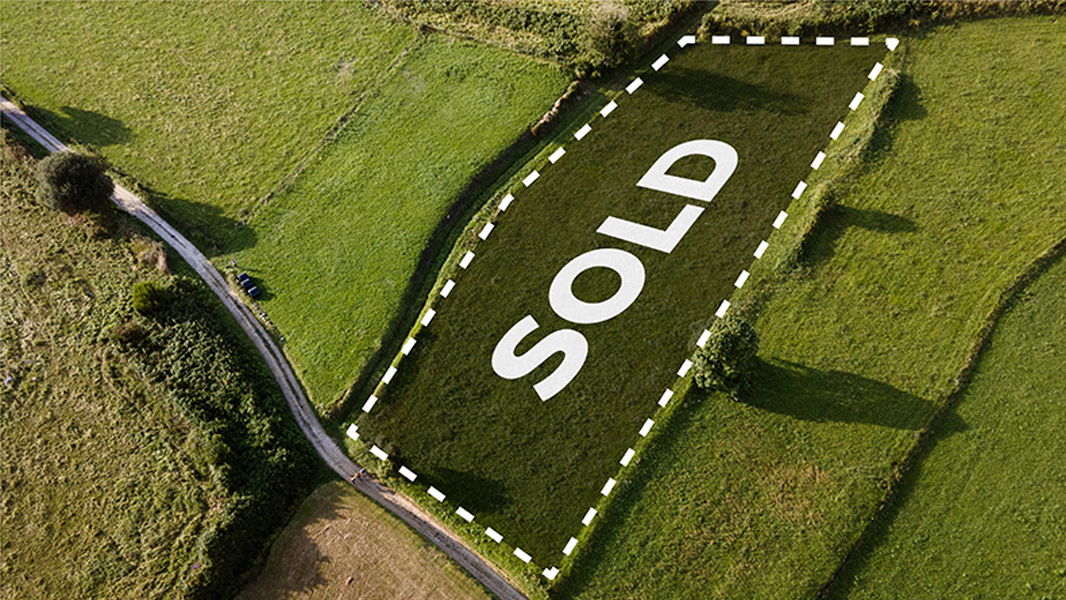 Hollywood Sign on The Hill